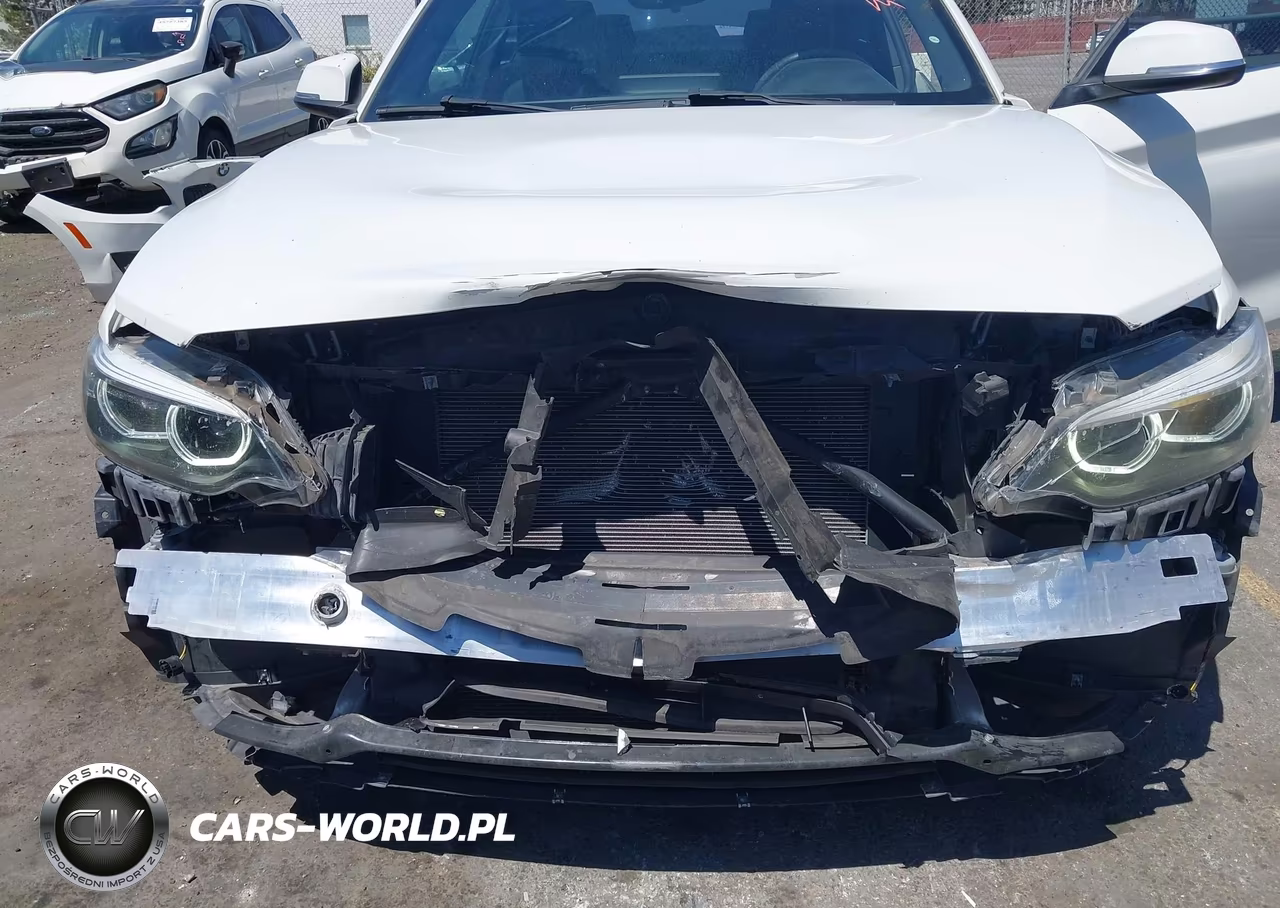 2018 BMW 230I VIN:WBA2J1C51JVD08950 - 6