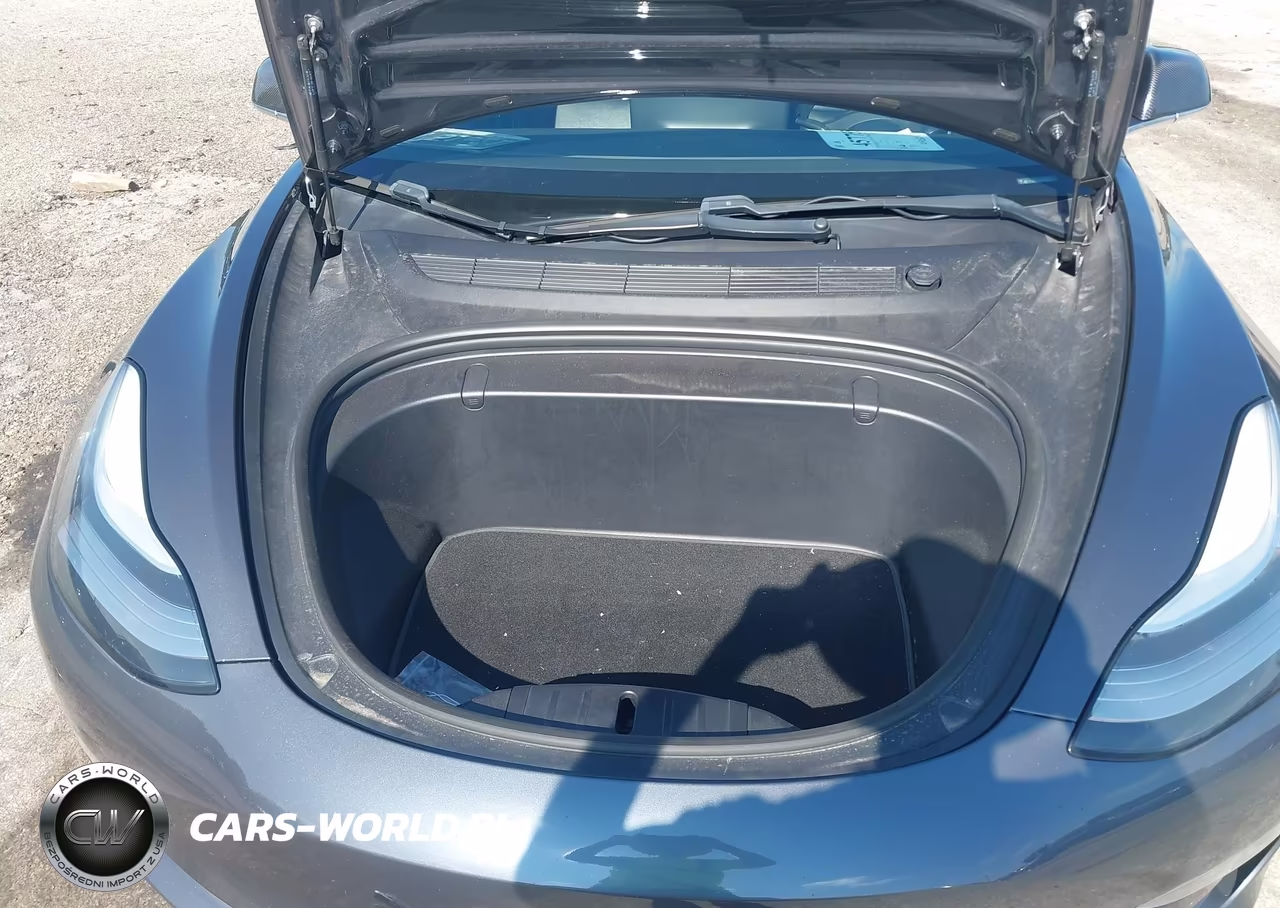 2019 Tesla Model 3 Long Range-Performance VIN:5YJ3E1EB9KF438423 - 10