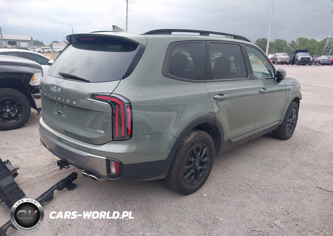 2023 Kia Telluride Sx Prestige X-Pro VIN:5XYP5DGC4PG385803 - 4