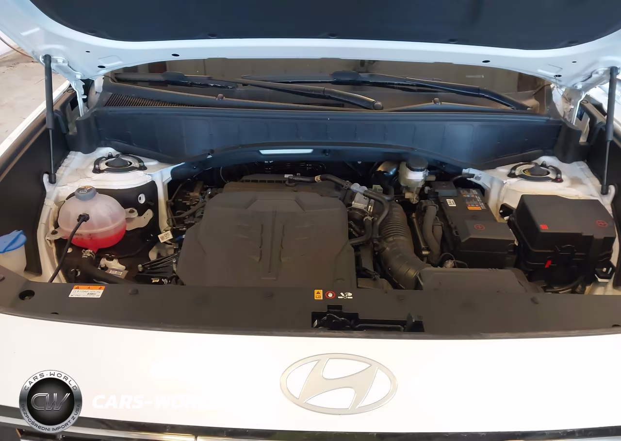 2026 Hyundai Palisade Calligraphy VIN:KM8RMES28TU017791 - 10