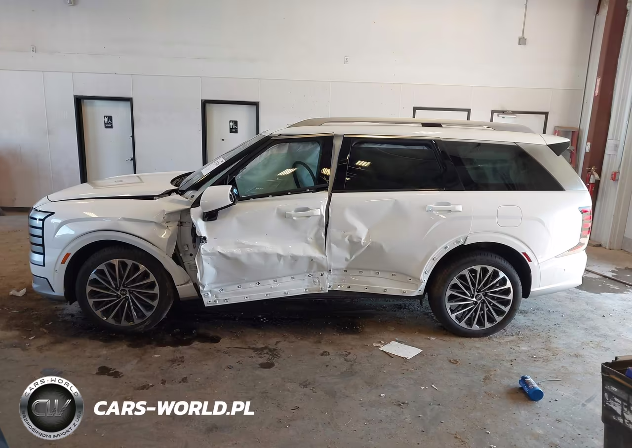 2026 Hyundai Palisade Calligraphy VIN:KM8RMES28TU017791 - 6