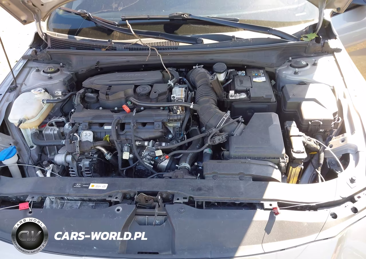 2024 Hyundai Elantra N Line VIN:KMHLR4DF3RU733489 - 10