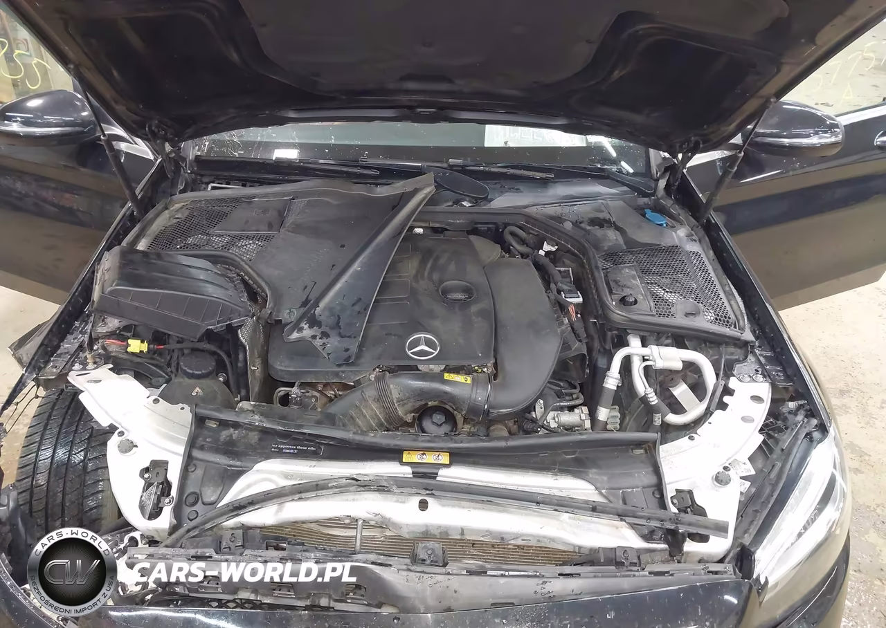 2019 Mercedes-Benz C 300 4Matic VIN:55SWF8EB9KU291022 - 10