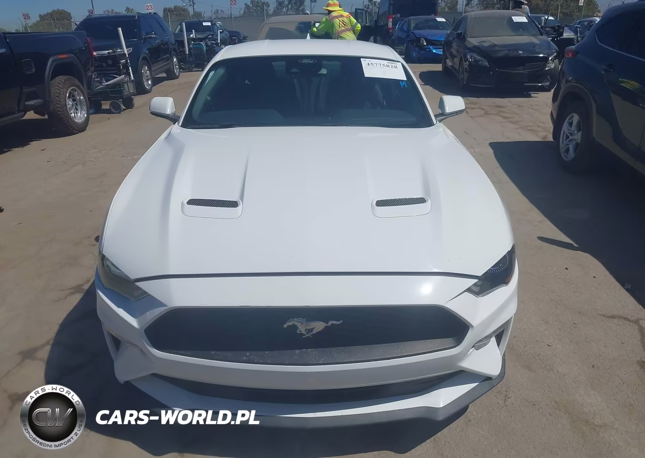 2022 Ford Mustang Ecoboost Fastback VIN:1FA6P8TH6N5139958 - 12