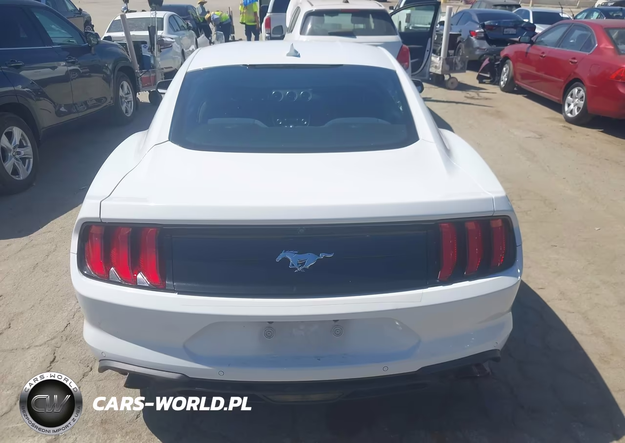 2022 Ford Mustang Ecoboost Fastback VIN:1FA6P8TH6N5139958 - 16