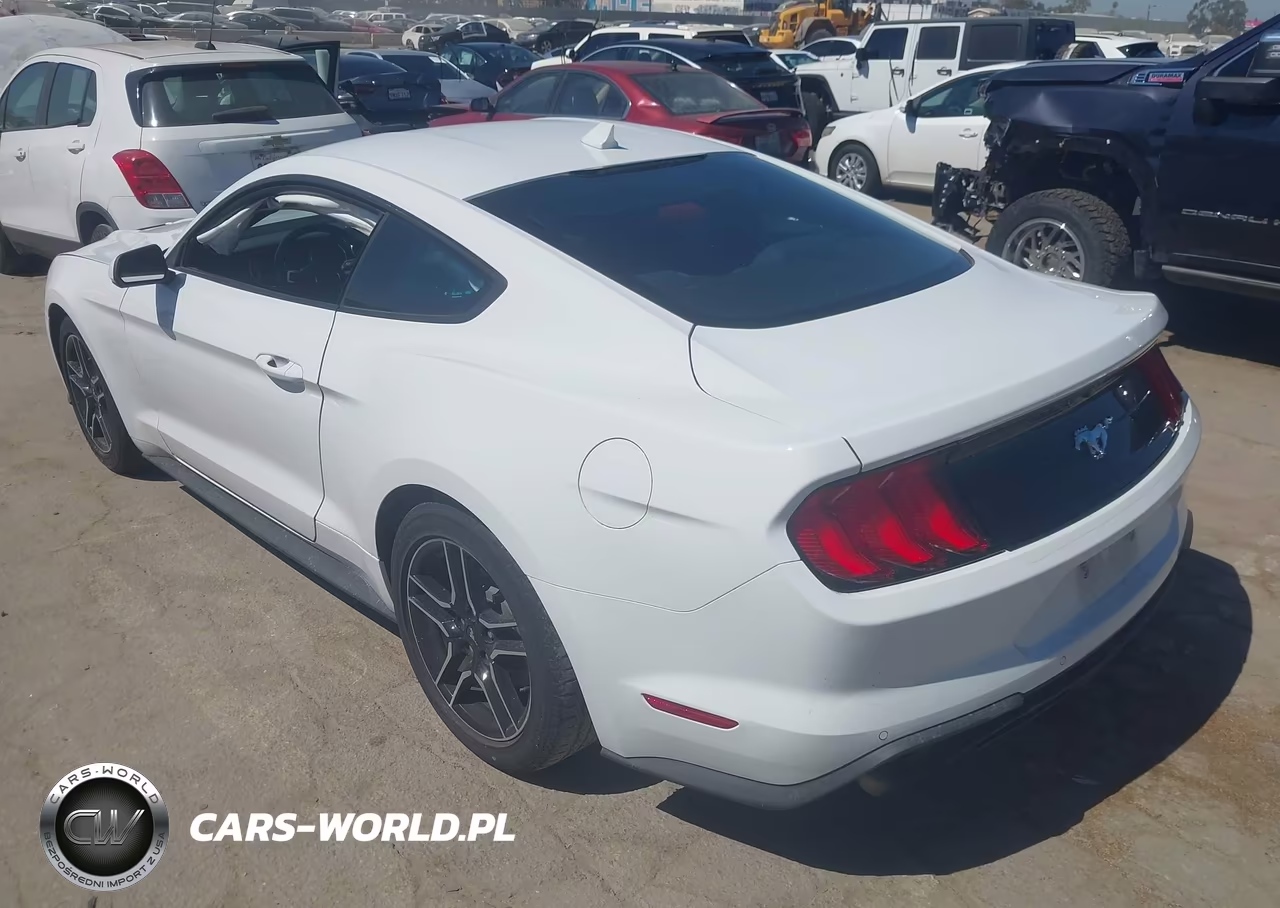 2022 Ford Mustang Ecoboost Fastback VIN:1FA6P8TH6N5139958 - 3