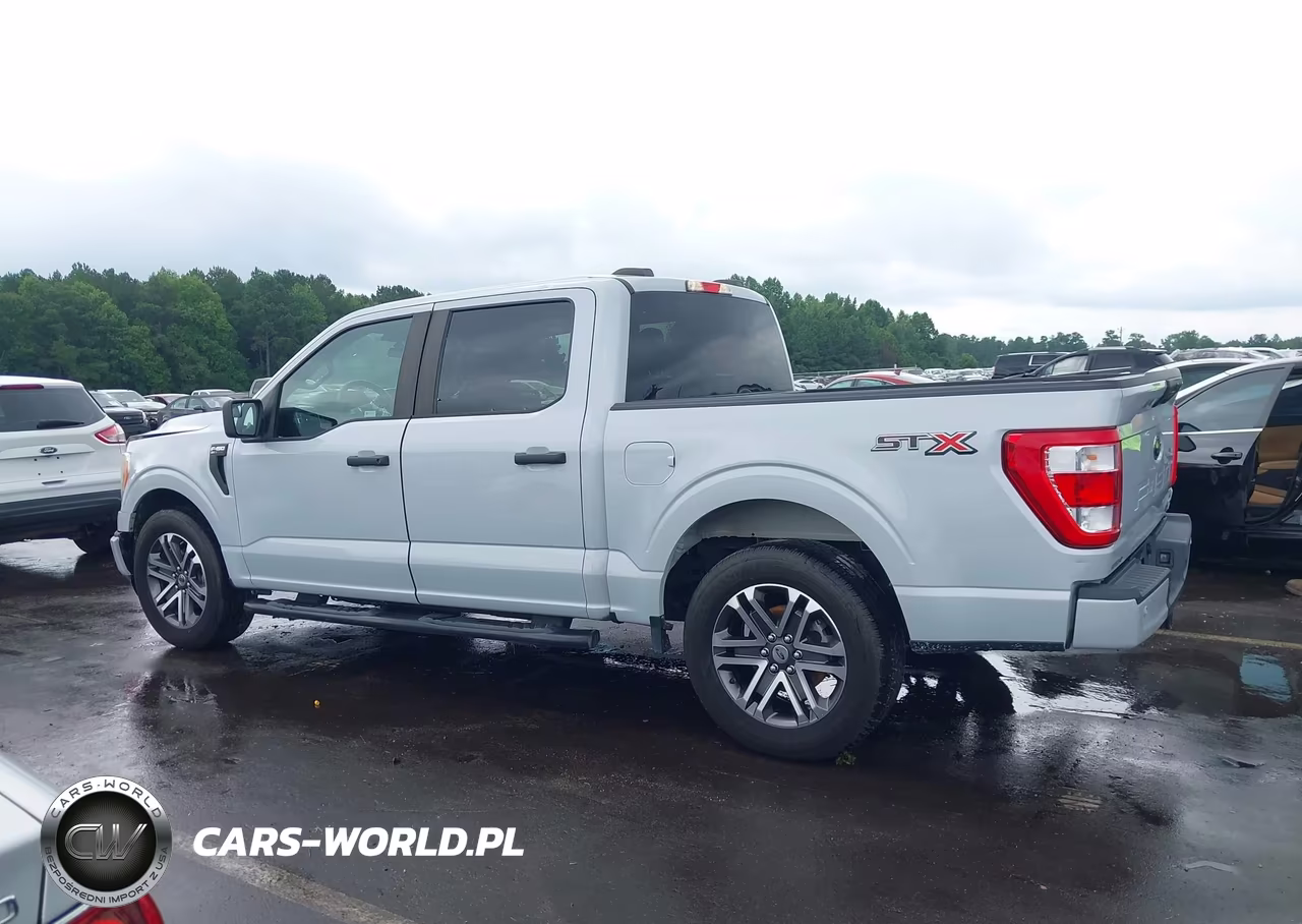 2021 Ford F-150 Xl VIN:1FTEW1CP0MKD64559 - 13
