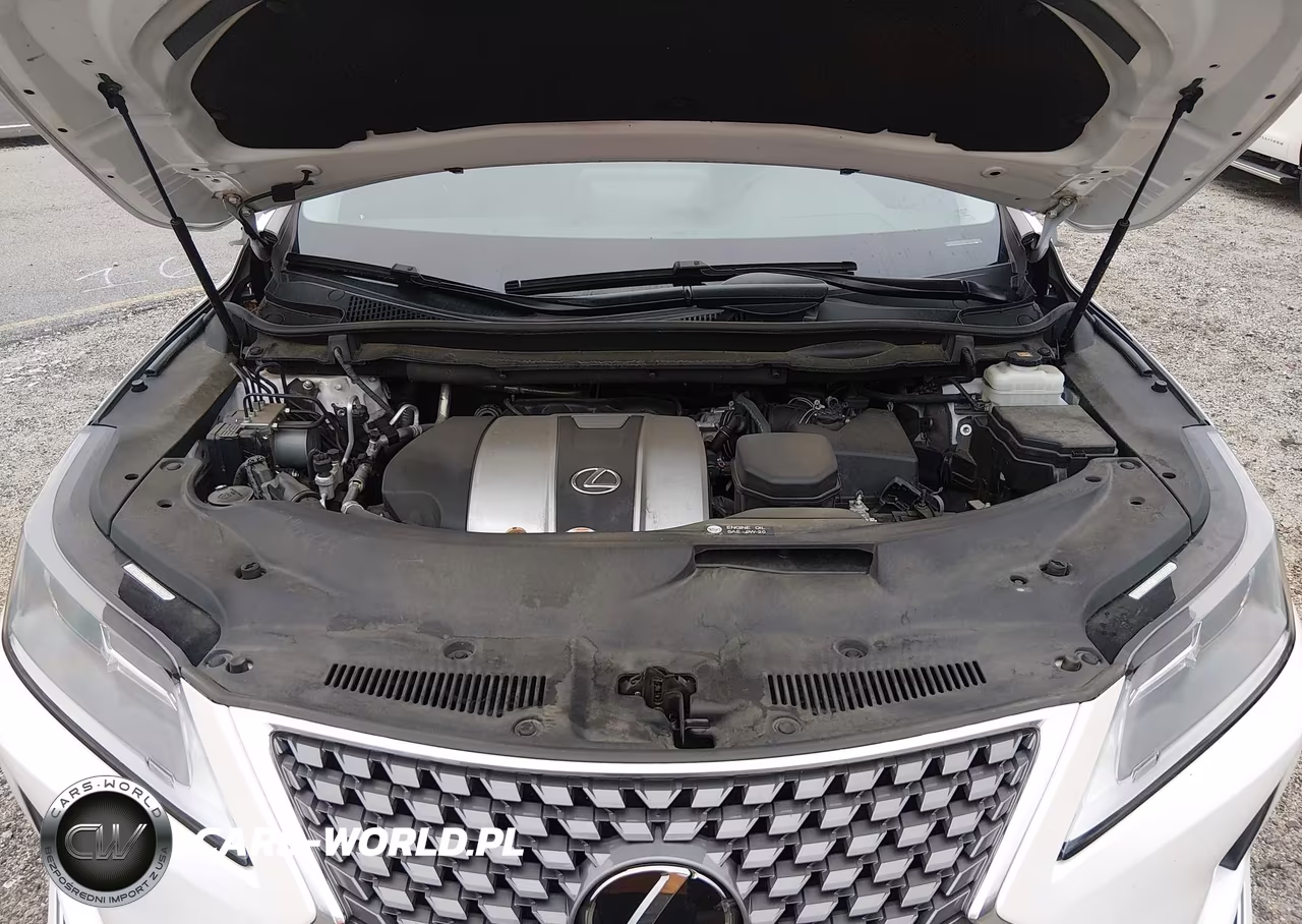 2021 Lexus Rx 350 VIN:2T2AZMAA8MC198617 - 10