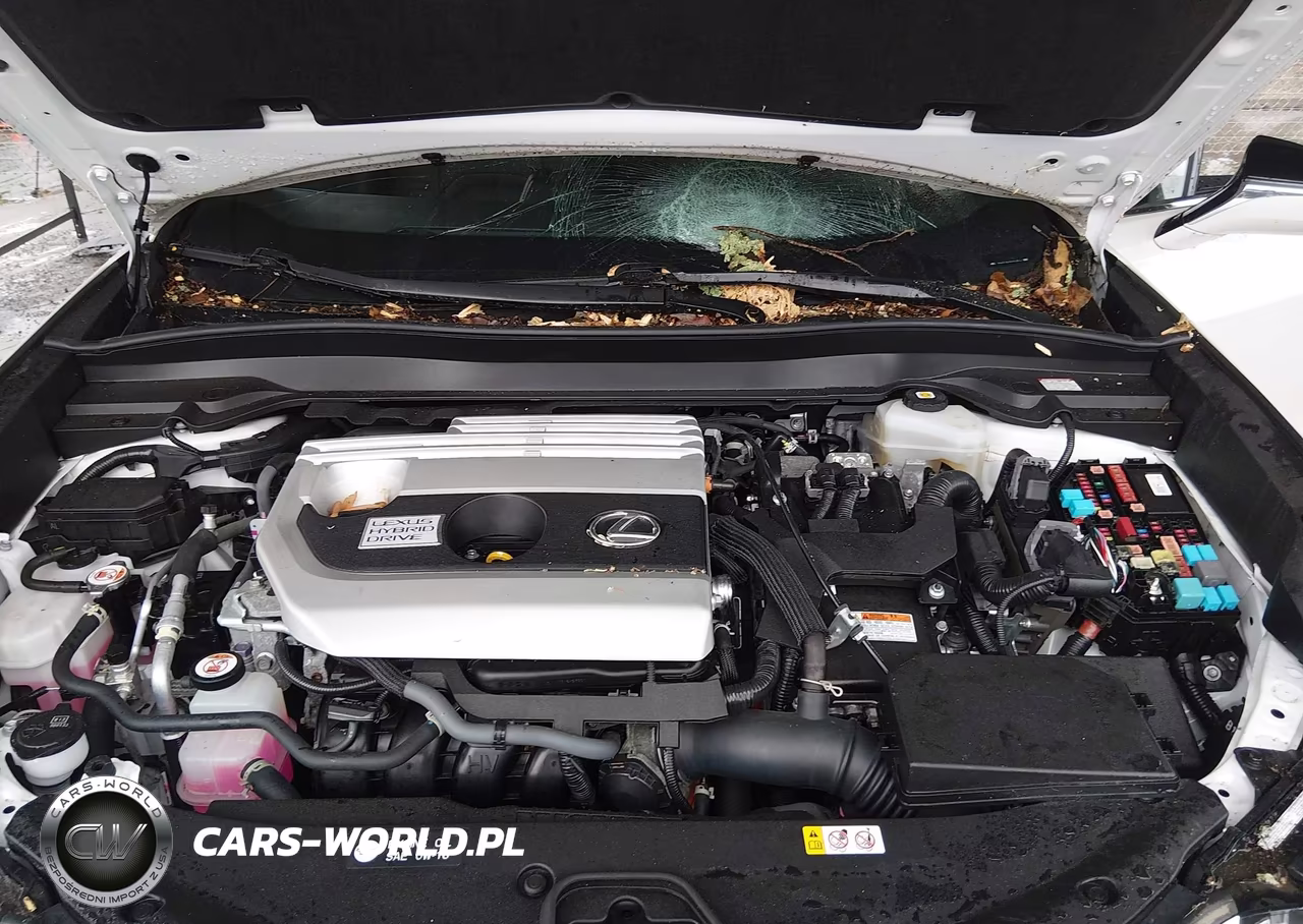 2022 Lexus Ux 250H VIN:JTHP9JBH7N2060669 - 10