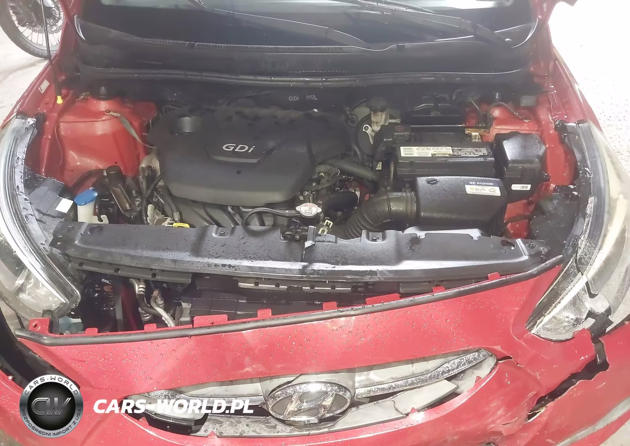 2016 Hyundai Accent Se VIN:KMHCT5AE4GU285652 - 10