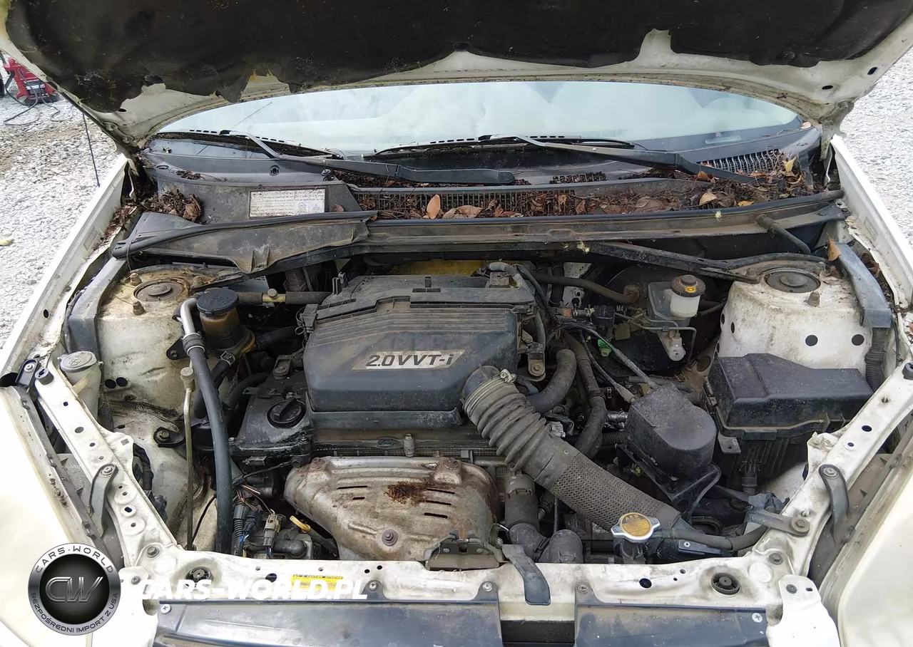 2001 Toyota Rav4 VIN:JTEHH20V416008695 - 10