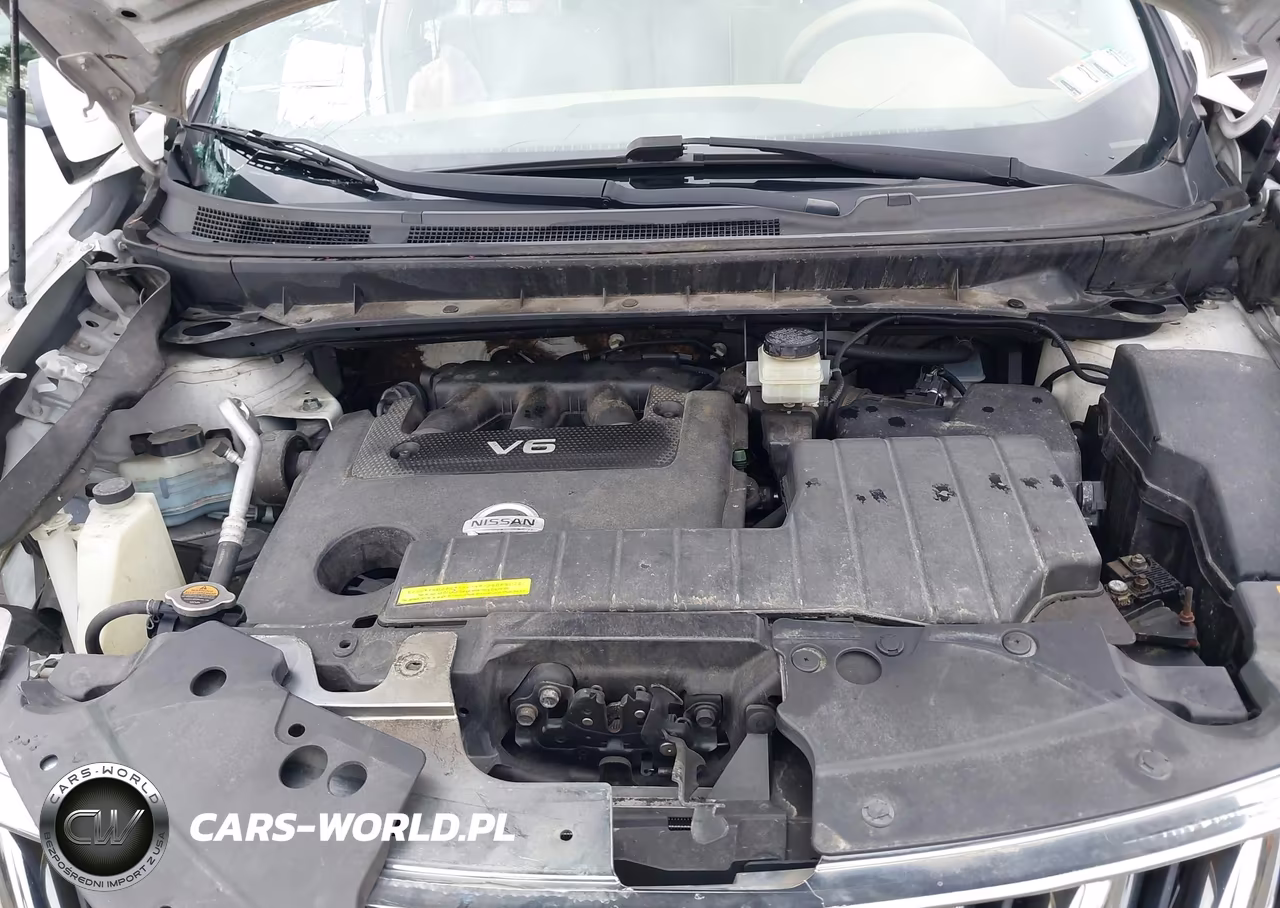 2010 Nissan Murano Le VIN:JN8AZ1MW3AW112499 - 10
