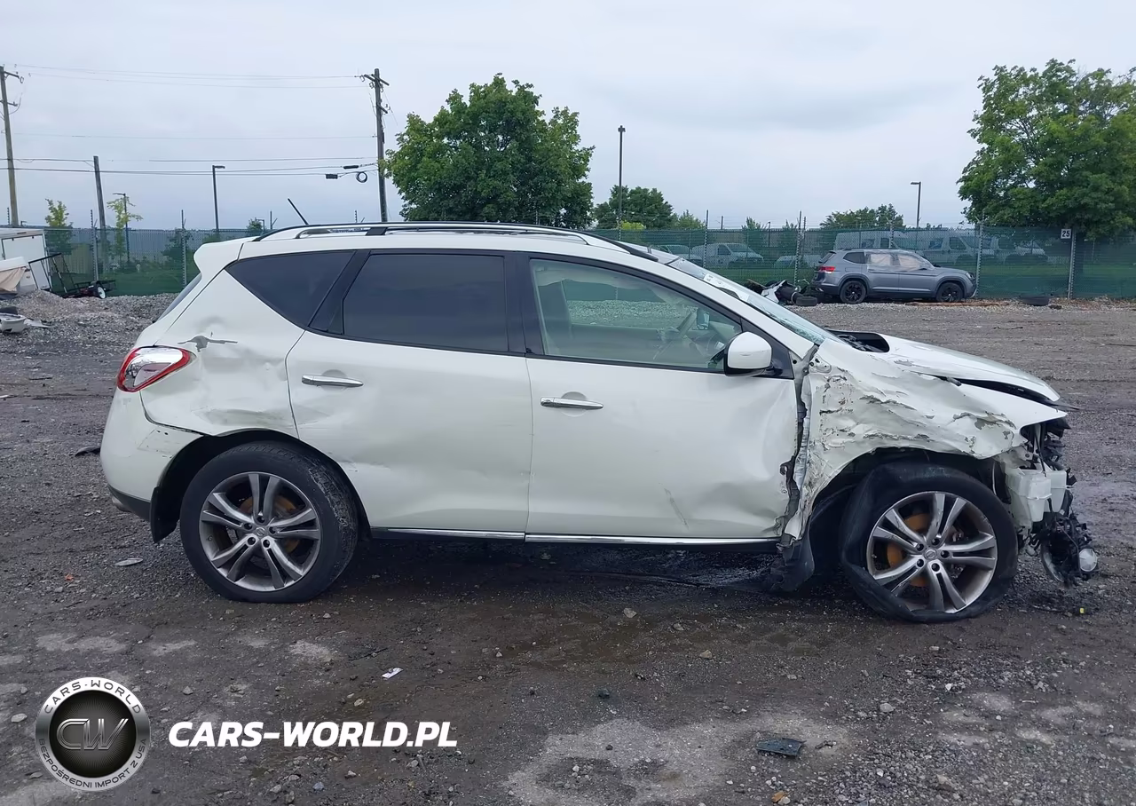 2010 Nissan Murano Le VIN:JN8AZ1MW3AW112499 - 12