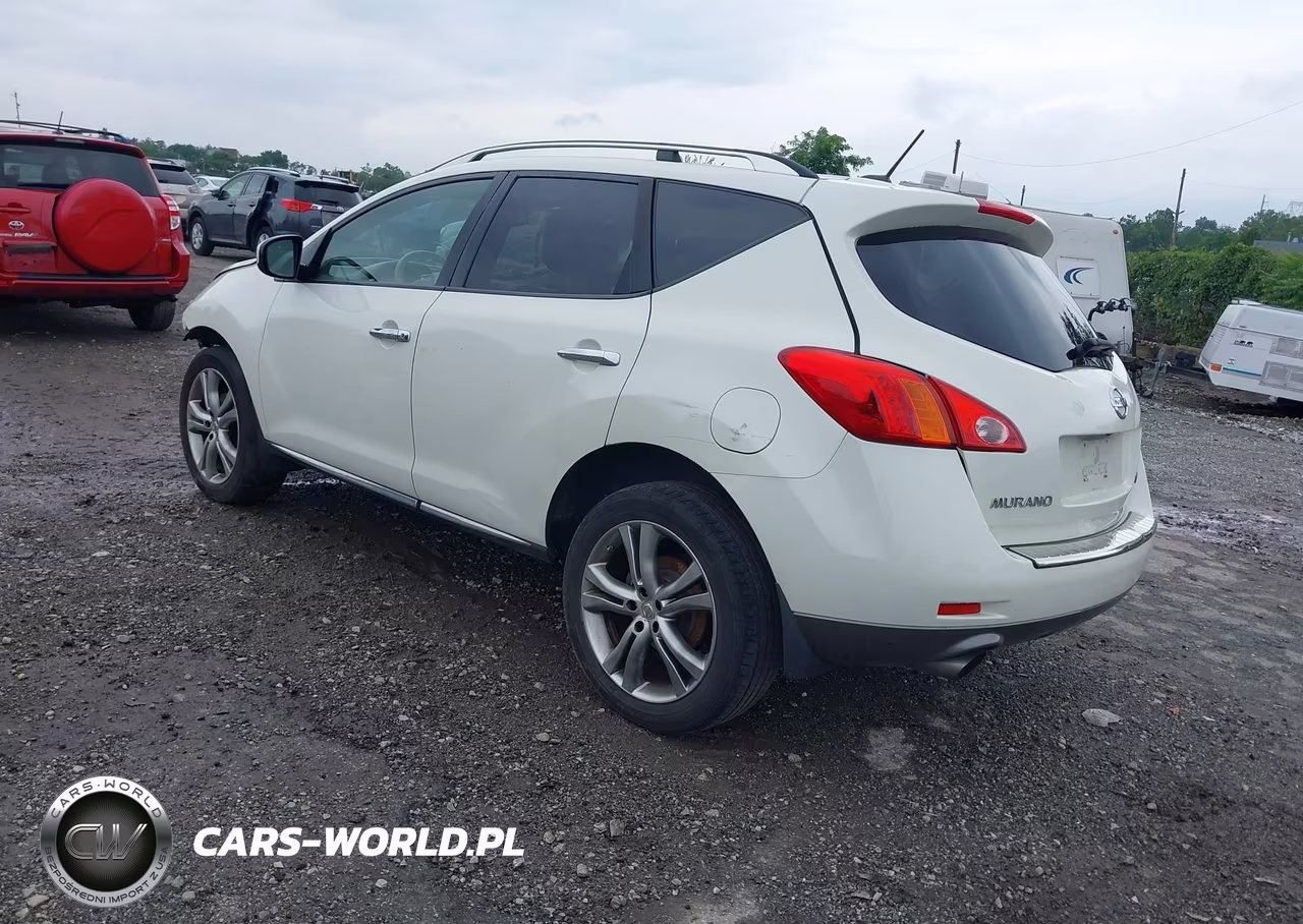 2010 Nissan Murano Le VIN:JN8AZ1MW3AW112499 - 3