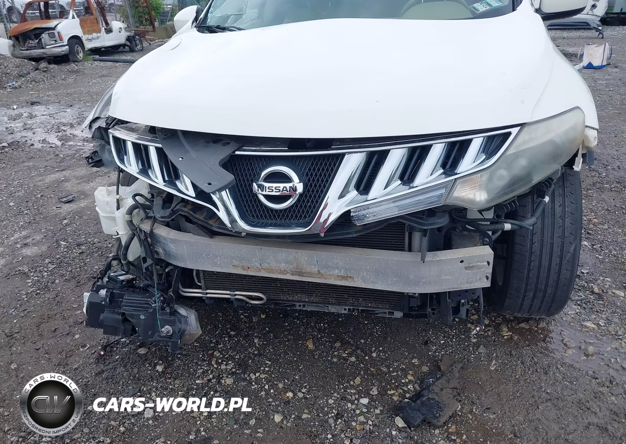 2010 Nissan Murano Le VIN:JN8AZ1MW3AW112499 - 6