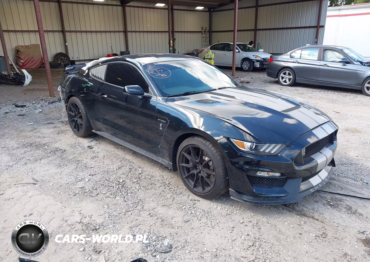 2019 Ford Mustang Shelby Gt350 Fastback