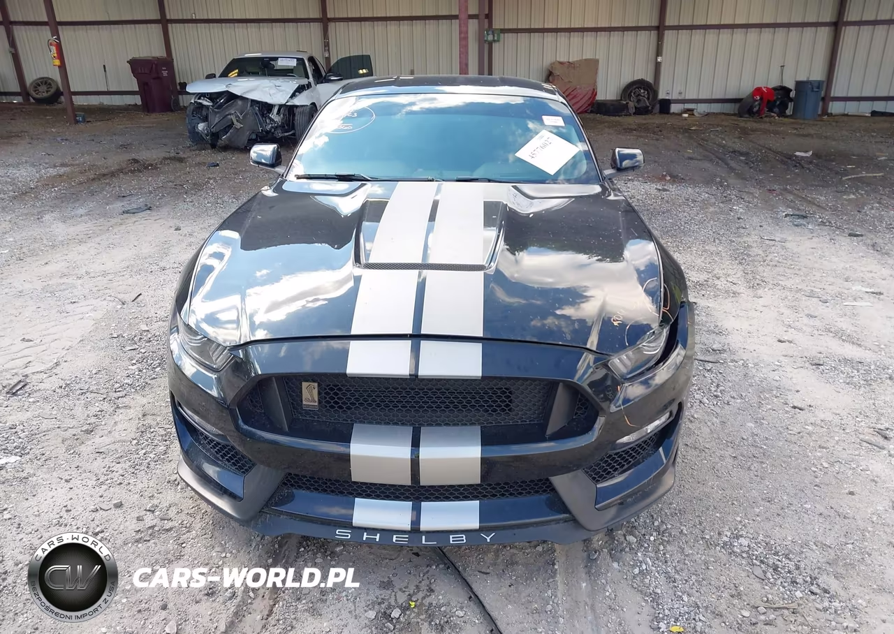 2019 Ford Mustang Shelby Gt350 Fastback VIN:1FA6P8JZXK5550156 - 12