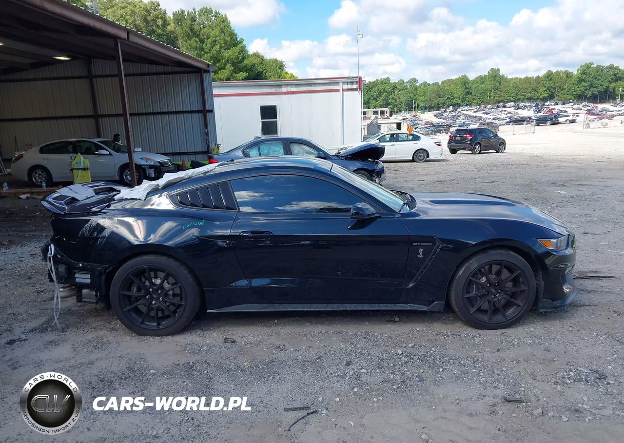 2019 Ford Mustang Shelby Gt350 Fastback VIN:1FA6P8JZXK5550156 - 13