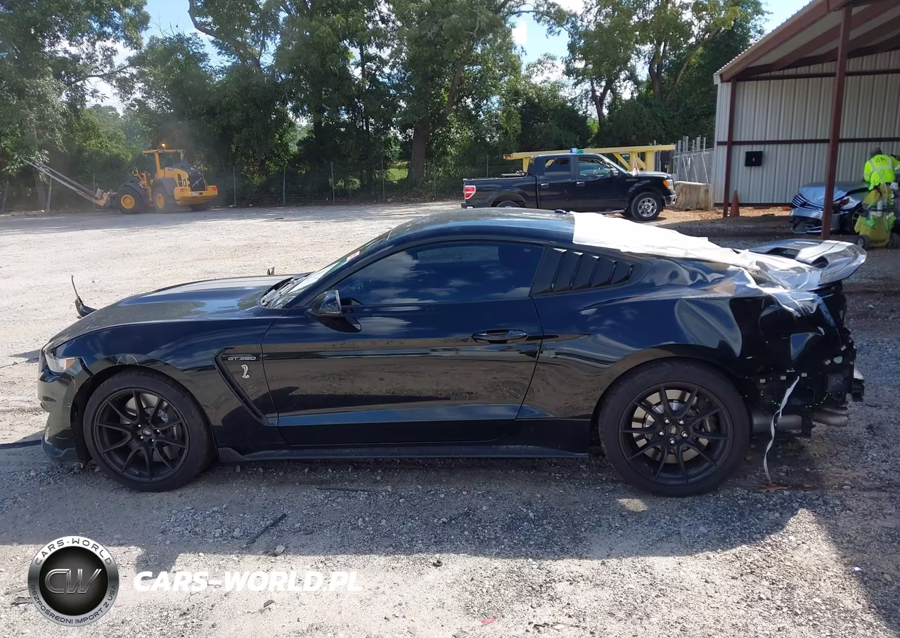 2019 Ford Mustang Shelby Gt350 Fastback VIN:1FA6P8JZXK5550156 - 14