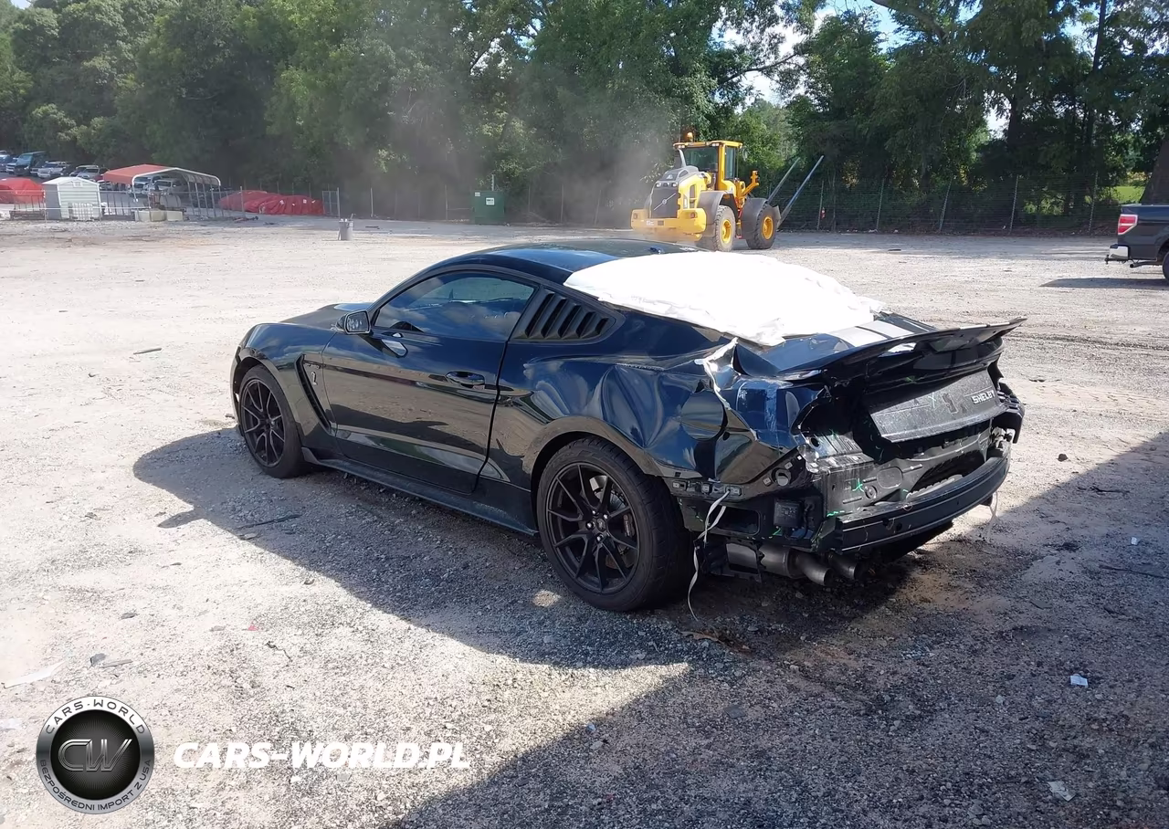 2019 Ford Mustang Shelby Gt350 Fastback VIN:1FA6P8JZXK5550156 - 3