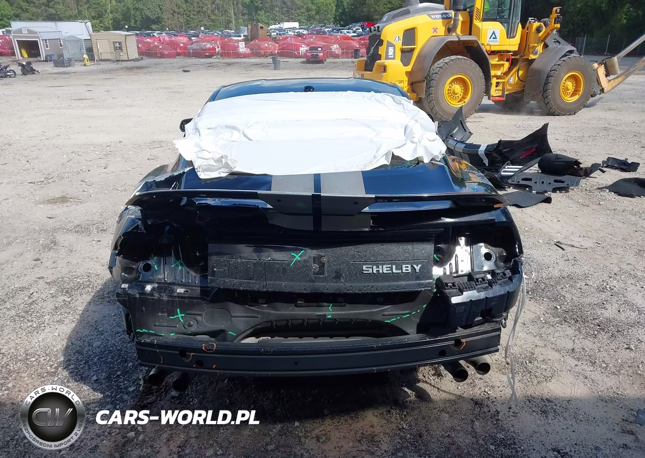 2019 Ford Mustang Shelby Gt350 Fastback VIN:1FA6P8JZXK5550156 - 6