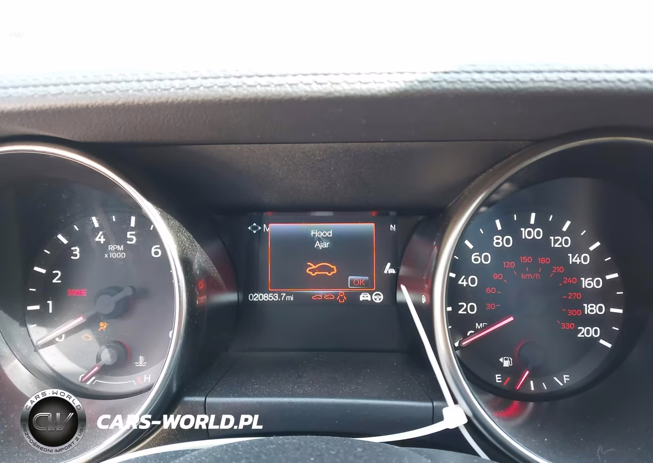 2019 Ford Mustang Shelby Gt350 Fastback VIN:1FA6P8JZXK5550156 - 7