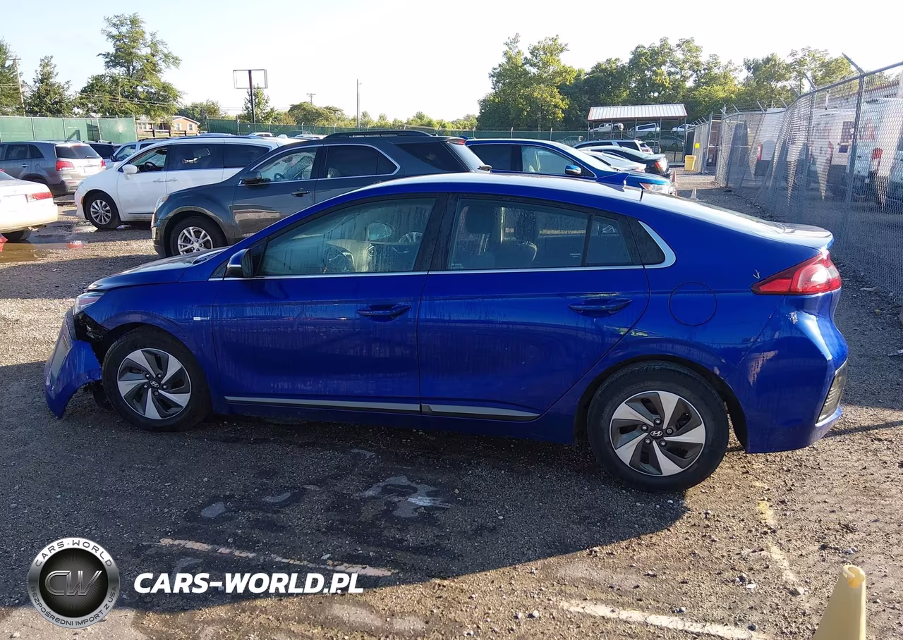 2019 Hyundai Ioniq Hybrid Sel VIN:KMHC75LC4KU136442 - 15