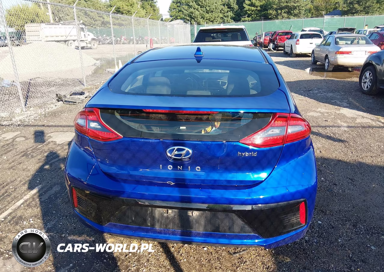2019 Hyundai Ioniq Hybrid Sel VIN:KMHC75LC4KU136442 - 17