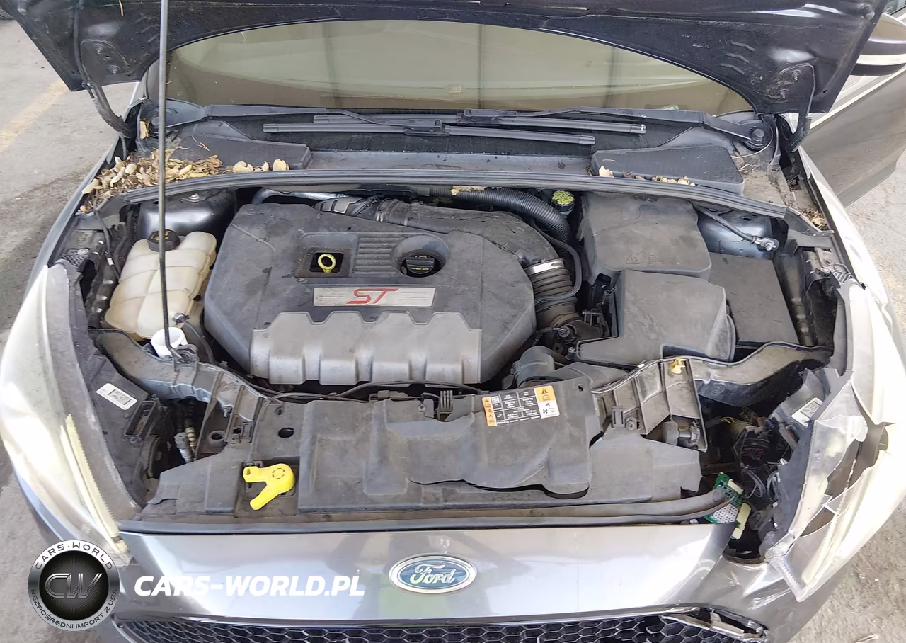2017 Ford Focus St VIN:1FADP3L94HL277467 - 10