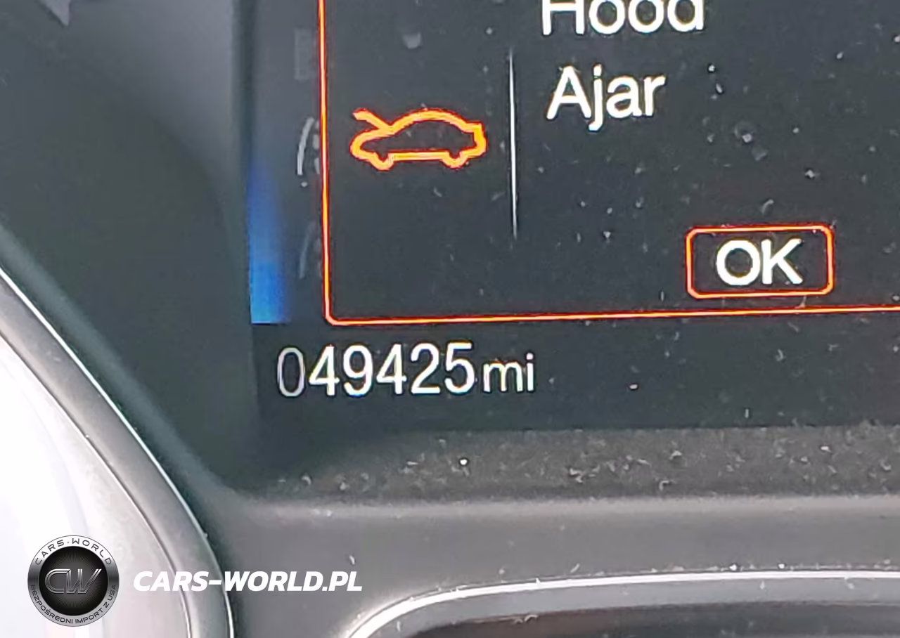 2017 Ford Focus St VIN:1FADP3L94HL277467 - 17