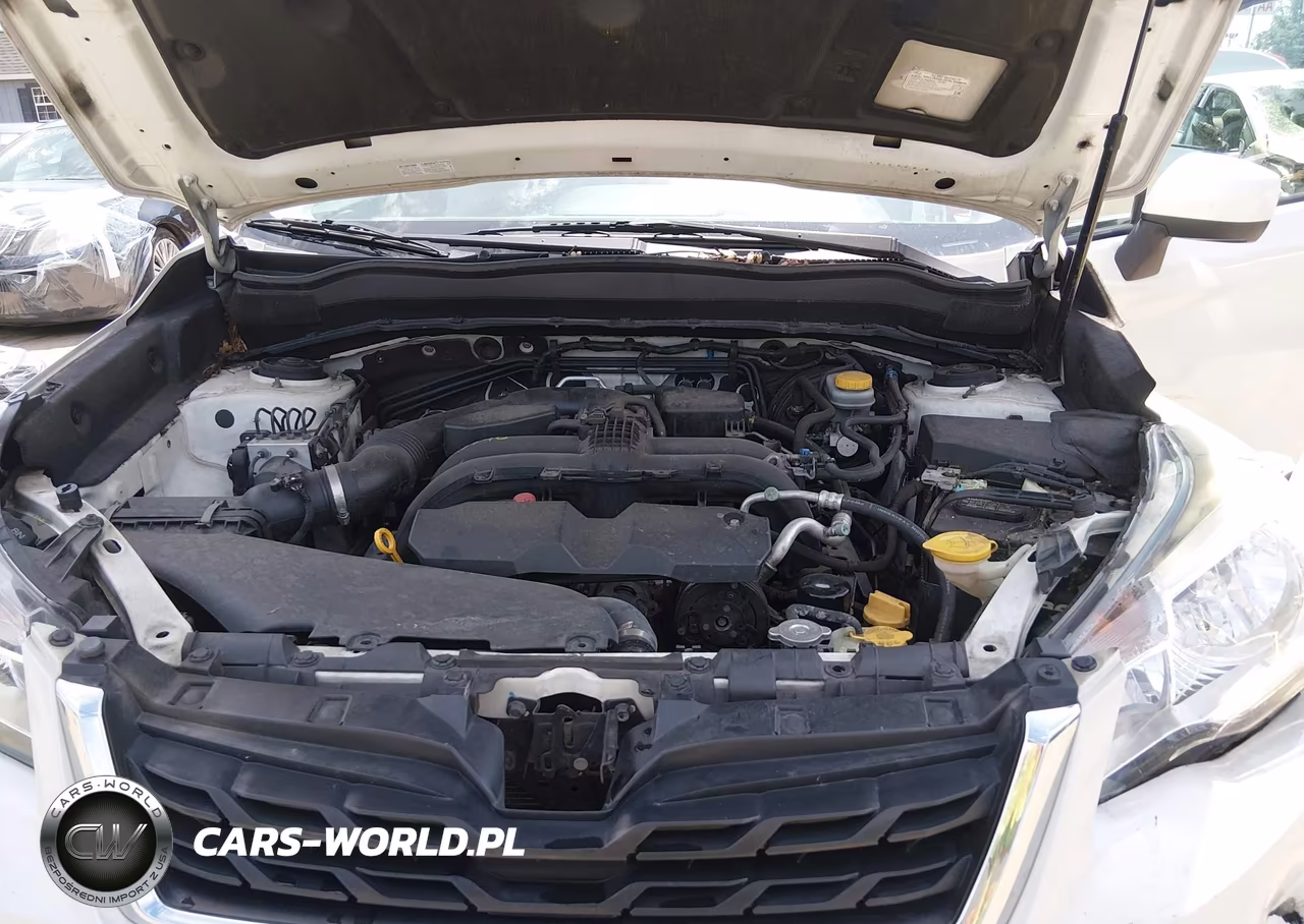 2017 Subaru Forester 2.5I Premium VIN:JF2SJAEC3HH442655 - 10