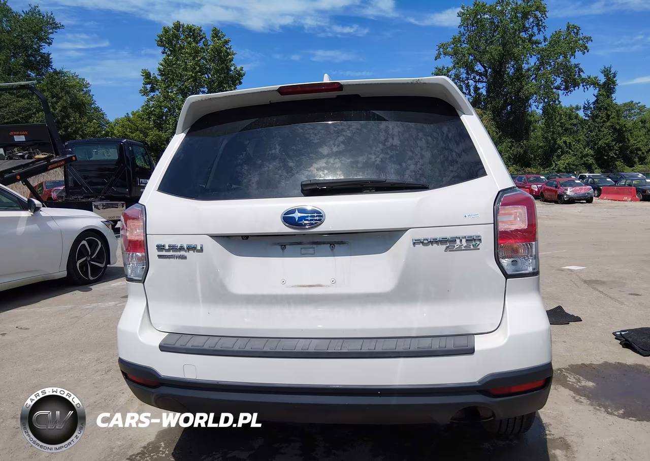 2017 Subaru Forester 2.5I Premium VIN:JF2SJAEC3HH442655 - 17