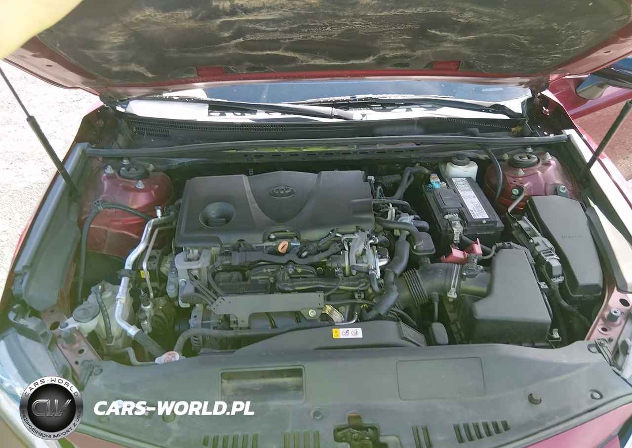 2019 Toyota Camry Le VIN:4T1B11HK2KU686759 - 10