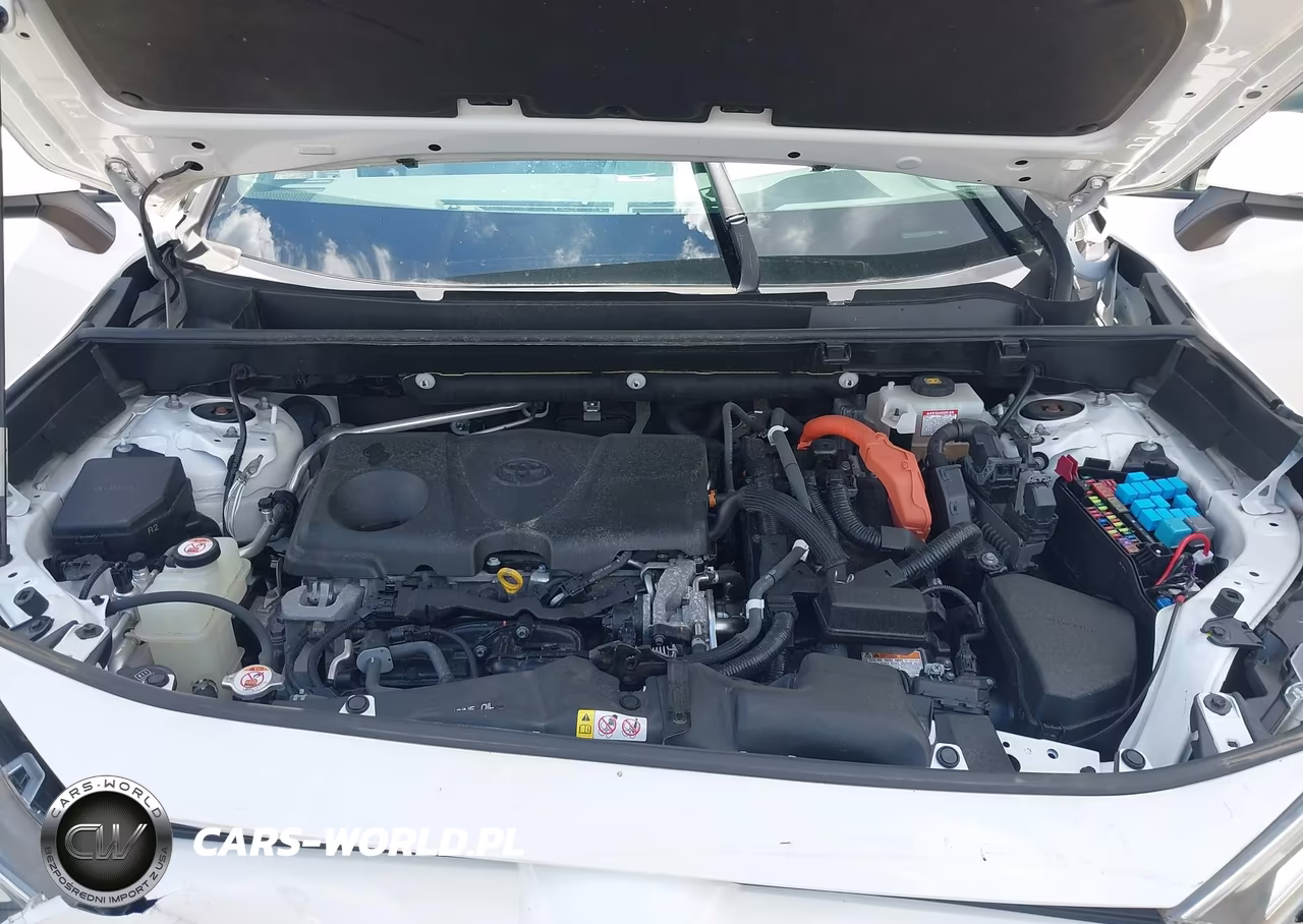 2019 Toyota Rav4 Hybrid Xle VIN:JTMRWRFV7KD032131 - 10