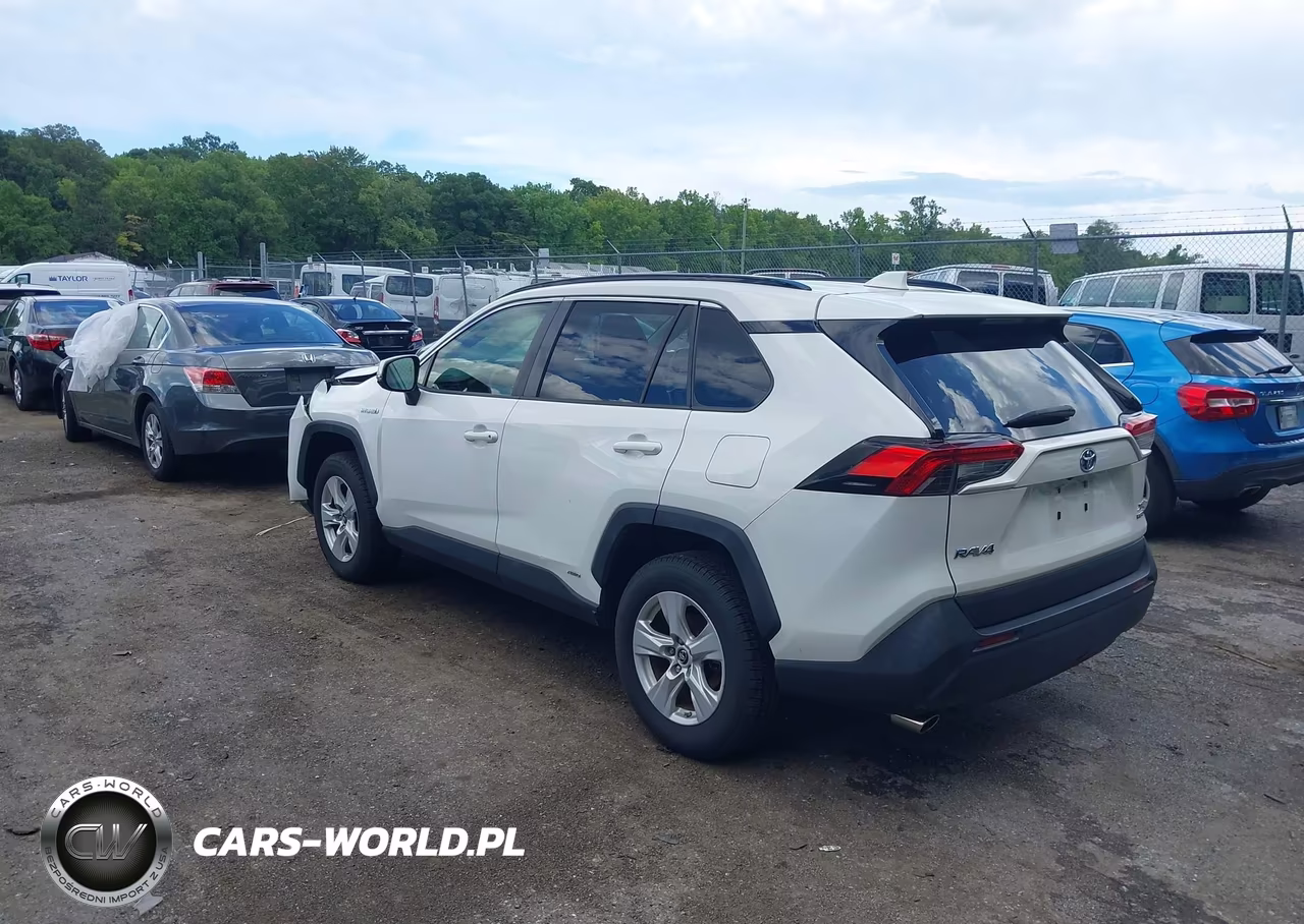 2019 Toyota Rav4 Hybrid Xle VIN:JTMRWRFV7KD032131 - 3