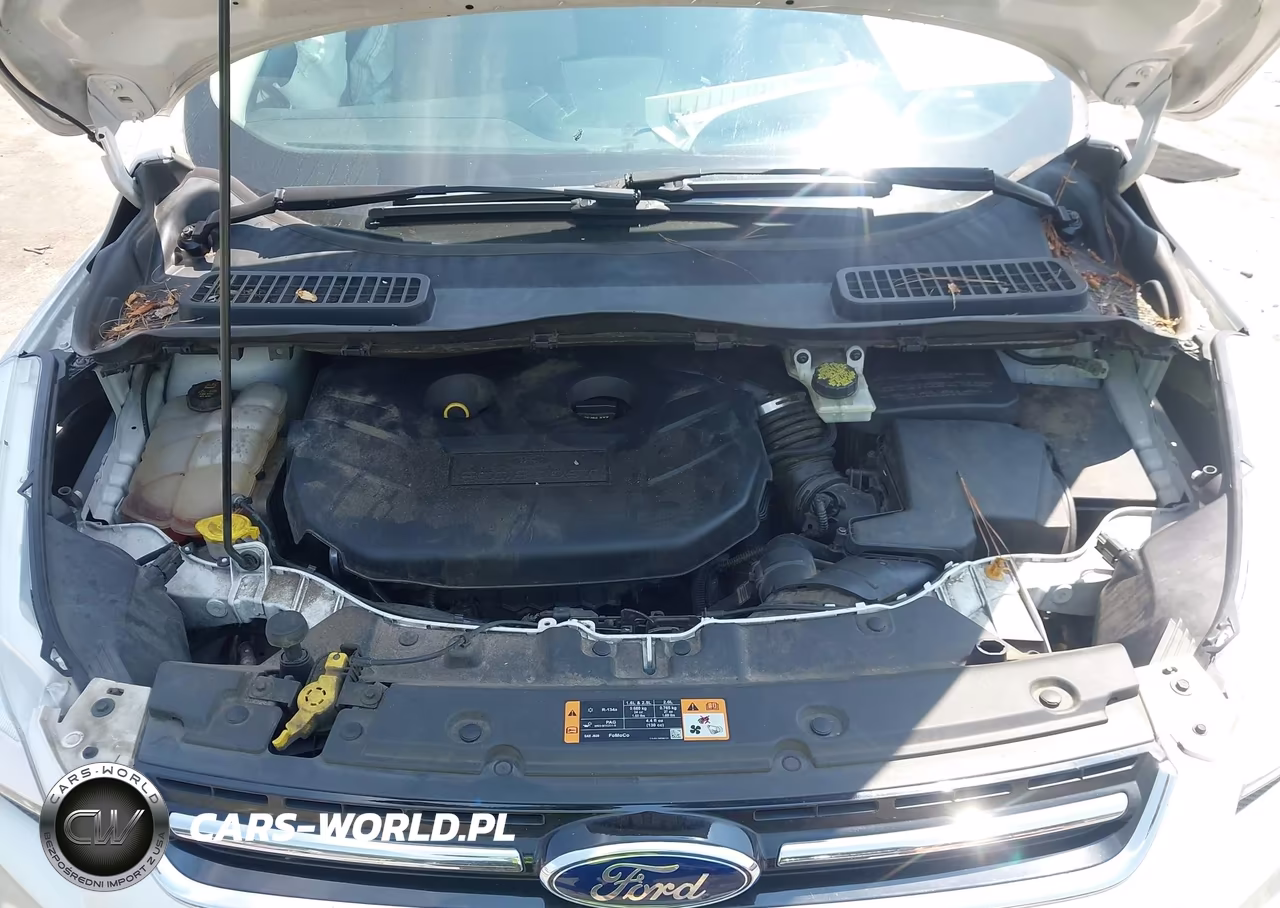 2015 Ford Escape Titanium VIN:1FMCU0J99FUA99025 - 10