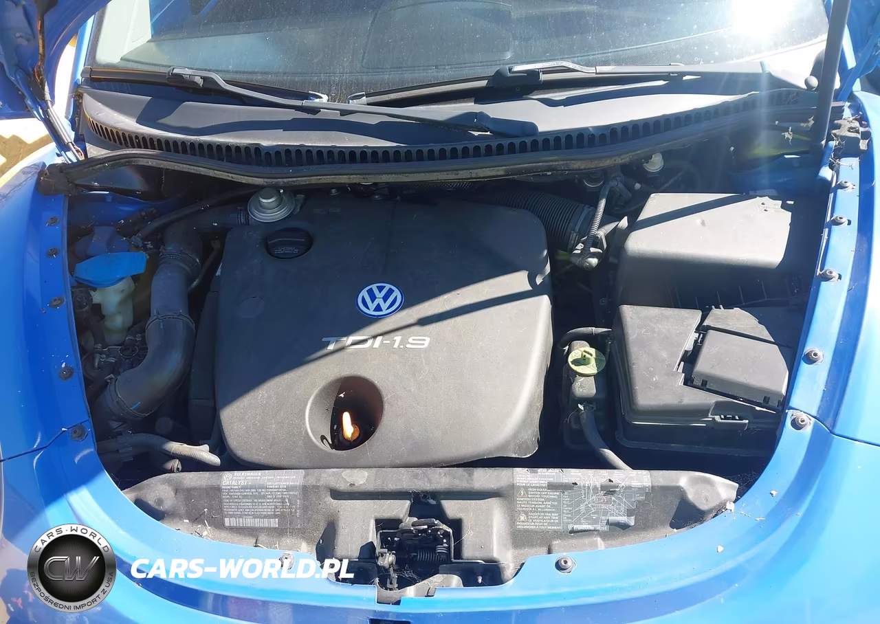 2001 Volkswagen New Beetle Gls Tdi VIN:3VWCP21C31M431005 - 10
