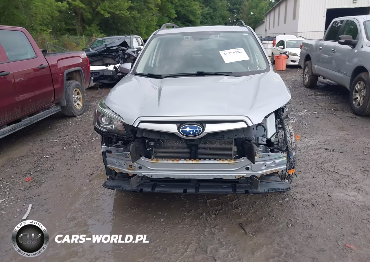 2019 Subaru Forester Premium VIN:JF2SKAGC1KH593706 - 12
