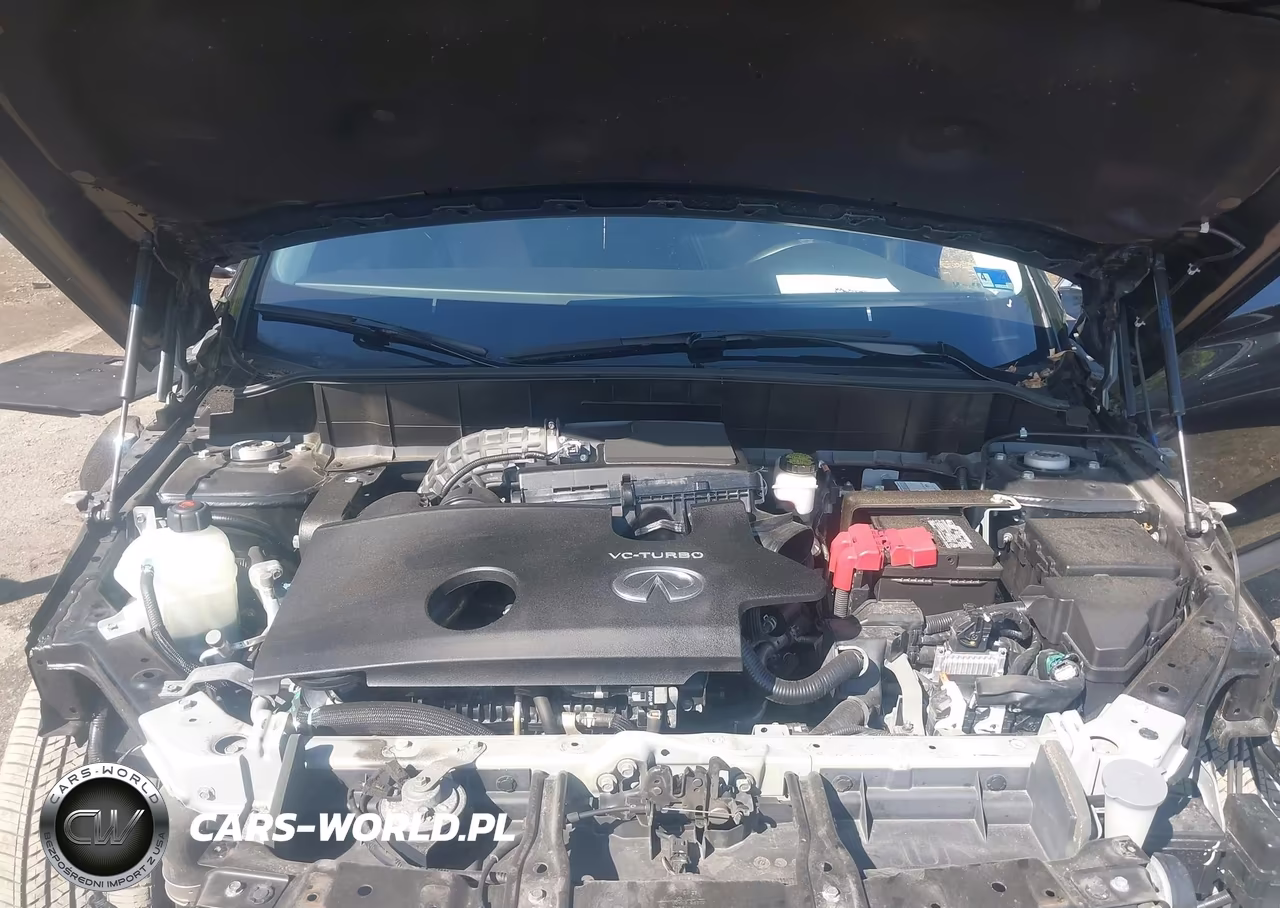 2019 Infiniti Qx50 Luxe VIN:3PCAJ5M35KF132338 - 10