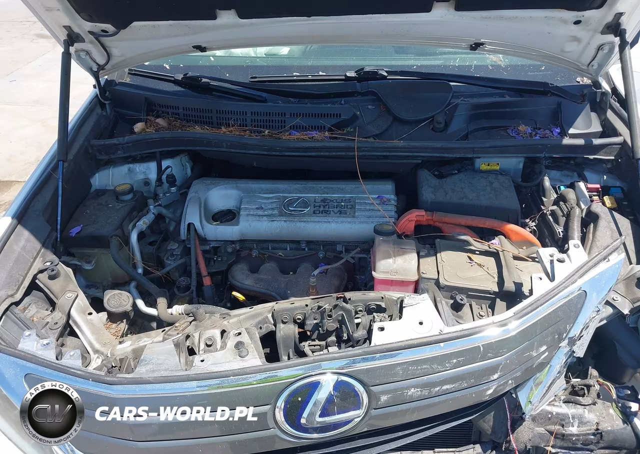 2010 Lexus Hs 250H Premium VIN:JTHBB1BA0A2017027 - 10