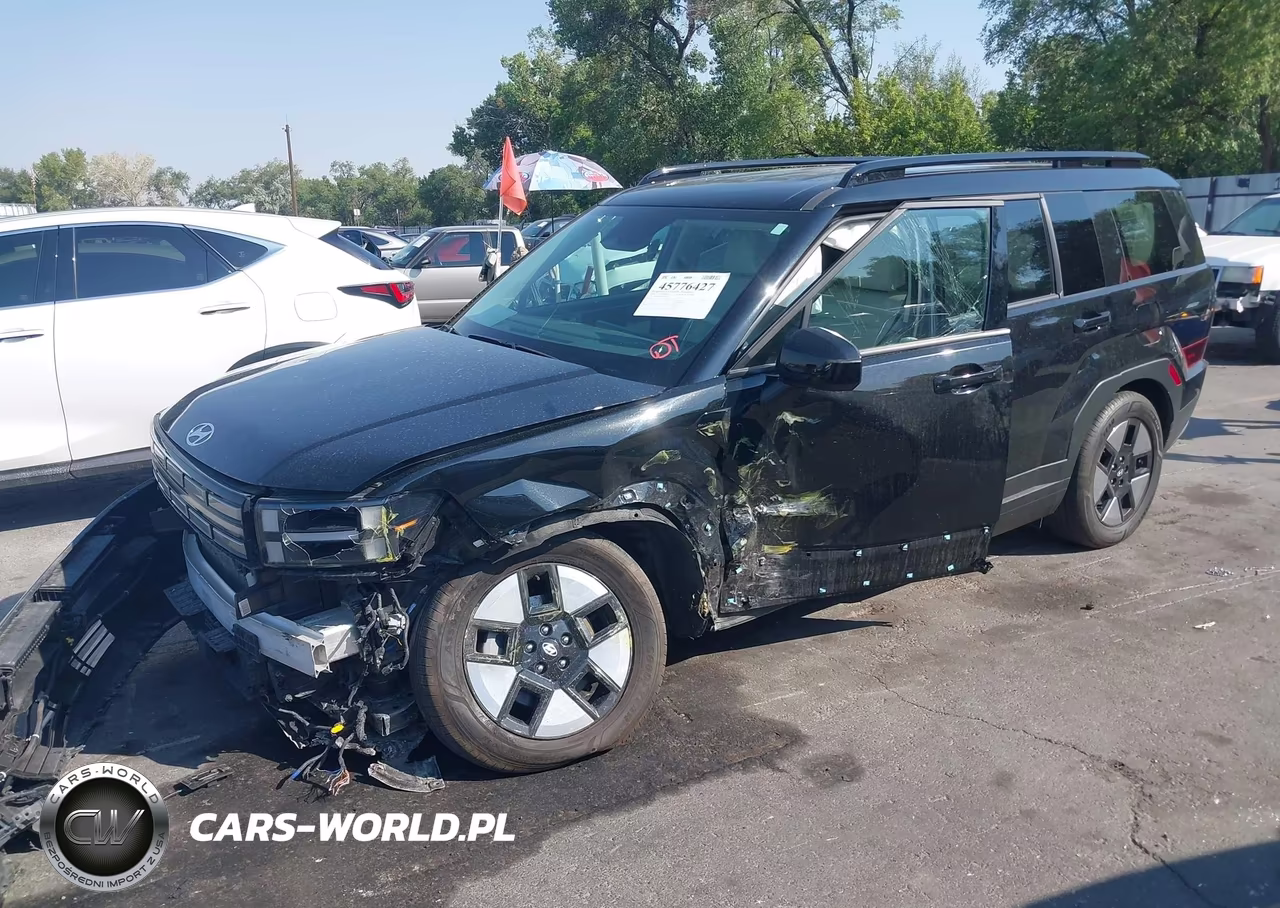 2024 Hyundai Santa Fe Hybrid Sel VIN:5NMP2DG14RH011630 - 2
