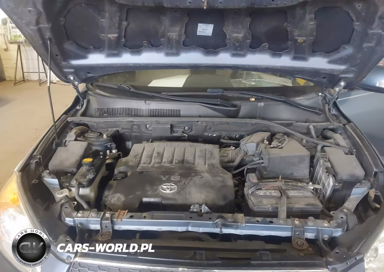 2009 Toyota Rav4 Limited V6 VIN:JTMZK31V29D001671 - 10