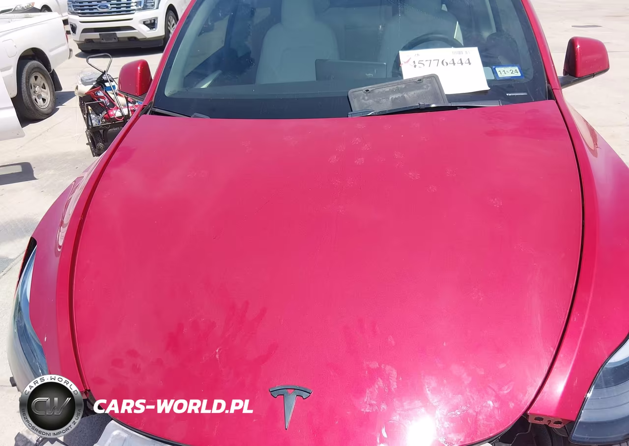 2023 Tesla Model Y Performance Dual Motor All-Wheel Drive VIN:7SAYGDEF2PF920777 - 10