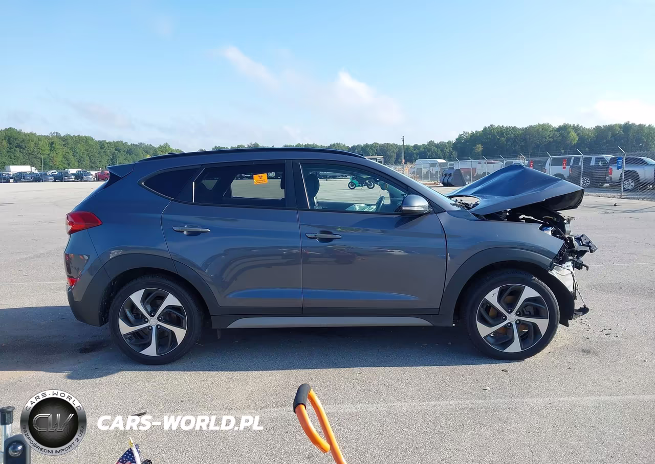 2018 Hyundai Tucson Value VIN:KM8J3CA21JU619919 - 13