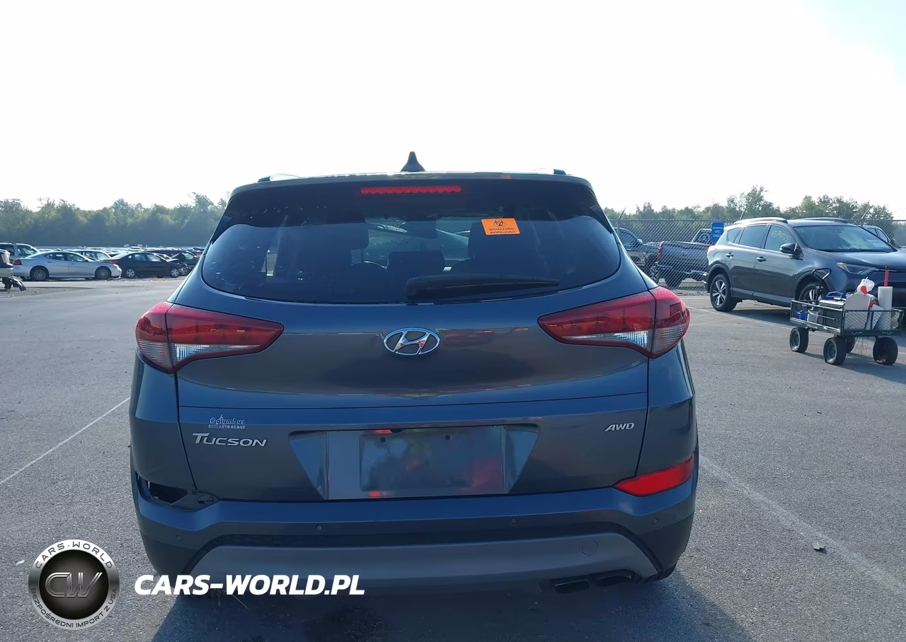 2018 Hyundai Tucson Value VIN:KM8J3CA21JU619919 - 16