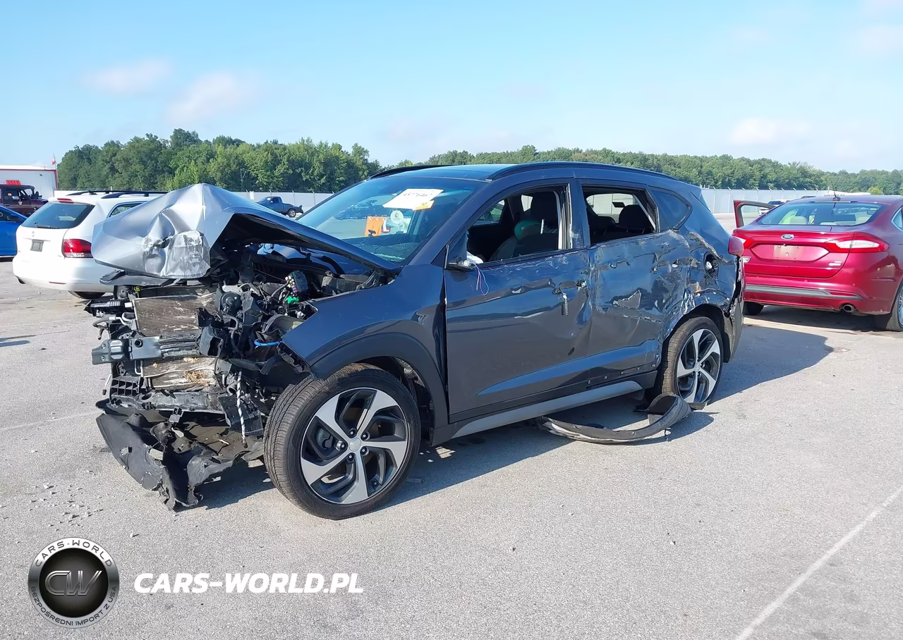 2018 Hyundai Tucson Value VIN:KM8J3CA21JU619919 - 2