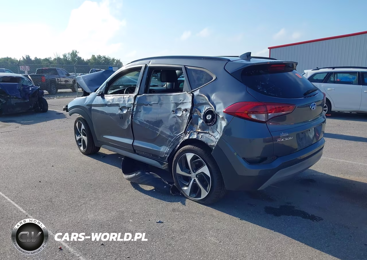 2018 Hyundai Tucson Value VIN:KM8J3CA21JU619919 - 3