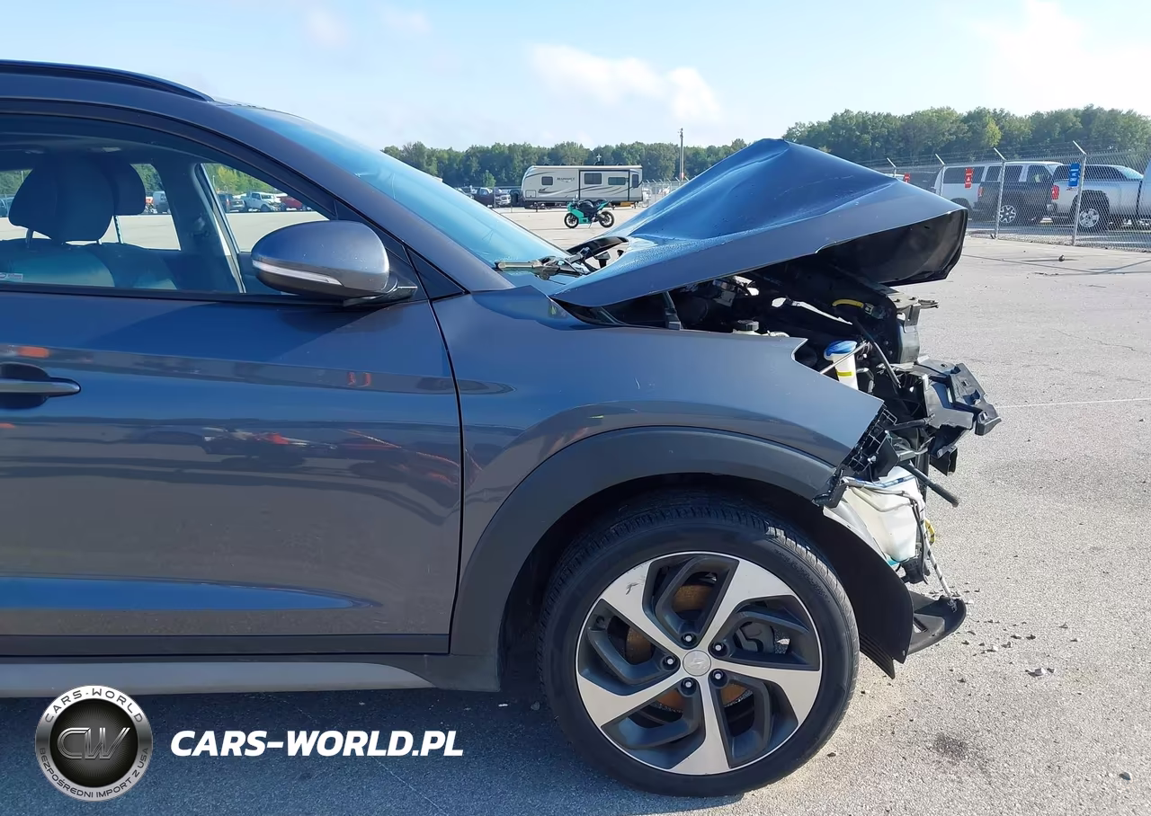 2018 Hyundai Tucson Value VIN:KM8J3CA21JU619919 - 6