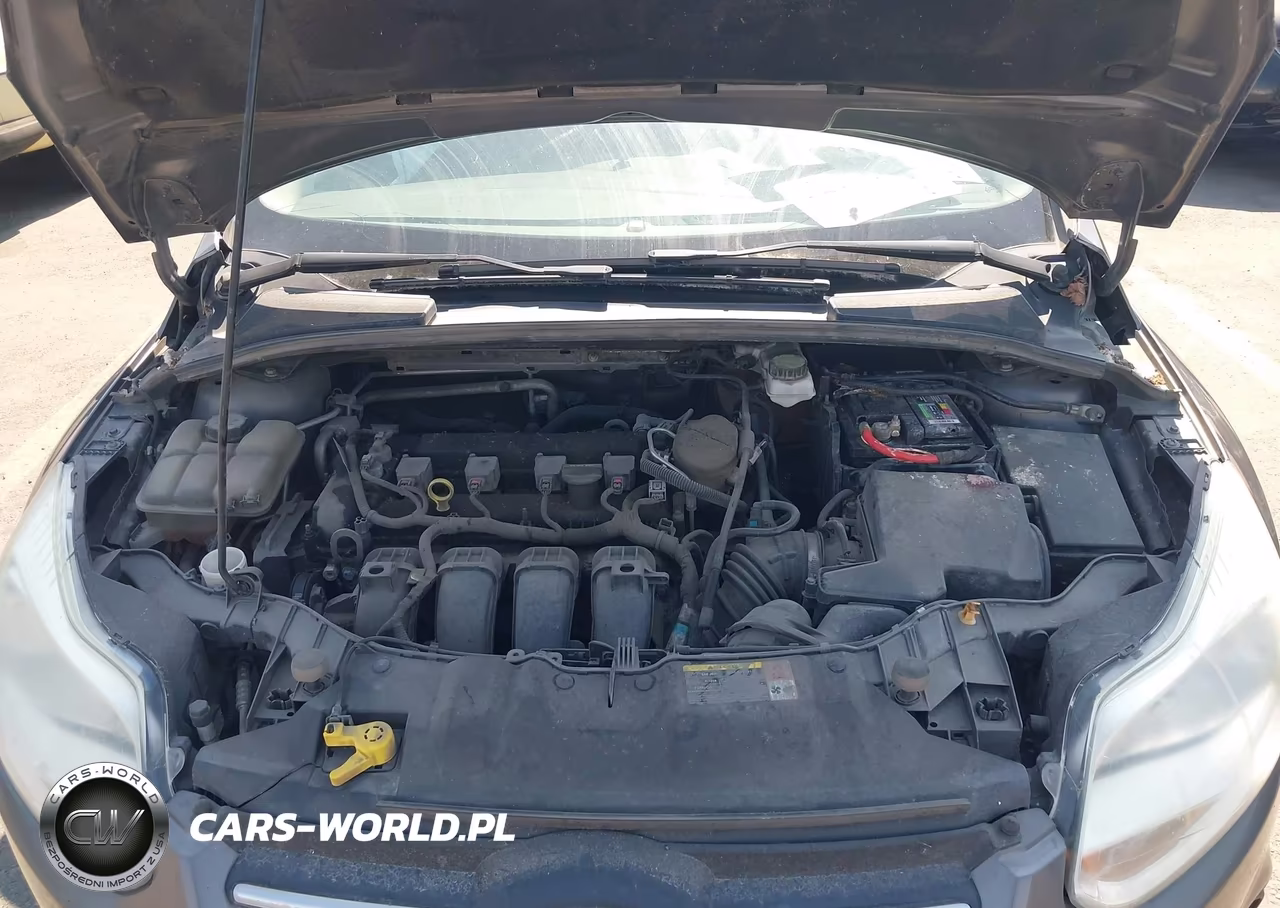 2013 Ford Focus Se VIN:1FADP3K24DL325547 - 10