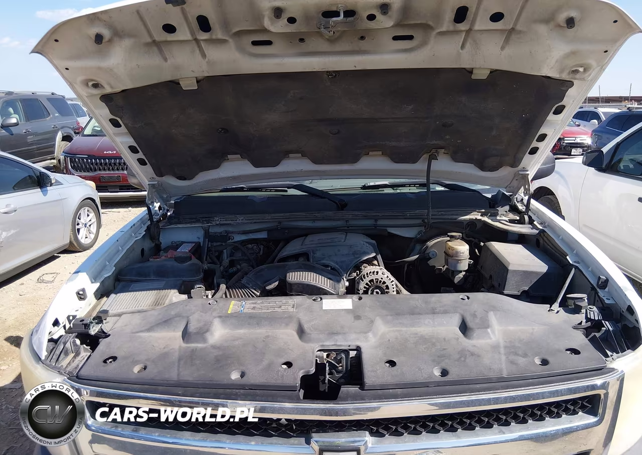 2009 Chevrolet Silverado 1500 Work Truck VIN:3GCEC13J19G231683 - 10
